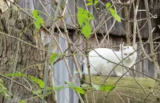 IMG_5670-1.webp
