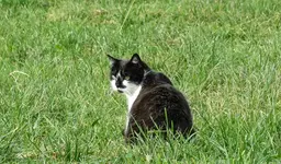 IMG_5681-1.webp