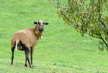 IMG_5705-1.webp