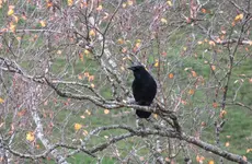 IMG_5746-1-2.webp