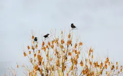 IMG_5812-1.webp