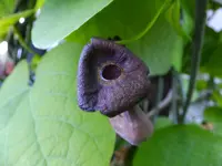 DSCF9128.webp