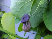 DSCF9135 (2).webp
