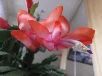 DSCF9081.webp