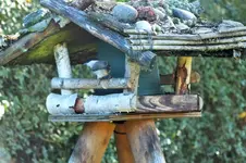 DSCF4327 (2).webp