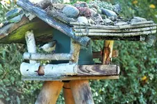 DSCF4329 (2).webp