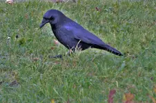 DSCF4436 (2).webp