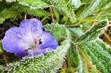DSCF4397 (2).webp