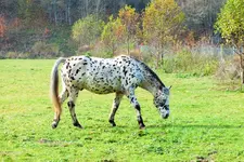 DSCF4451 (2).jpg