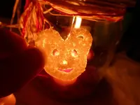 P1550619.webp