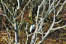 DSCF4447 (2).webp