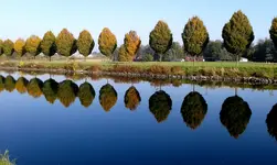 352.webp