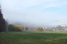 DSCF4424.webp