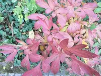 Bilda169.webp
