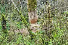 DSCF4460 (2).webp