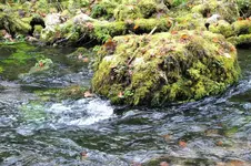 DSCF4467 (2).webp