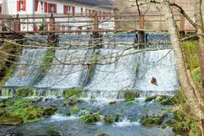 DSCF4468 (2).webp