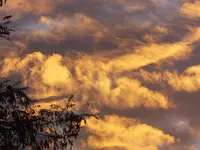 DSCF9094.webp
