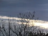 DSCF9099.webp
