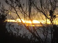 DSCF9117.webp