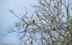 IMG_6762-b.webp