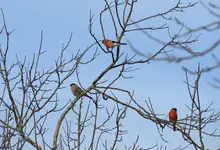 IMG_6810-a.webp