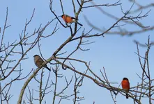 IMG_6813-a.webp