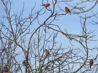IMG_6834-a.webp