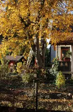 letzte_farben_3.webp