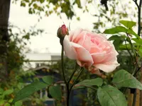 IMG_5872.webp