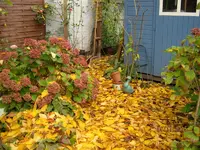 IMG_5877.webp
