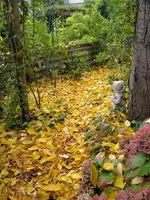 IMG_5879.webp