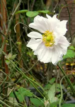 IMG_5885.webp