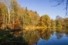 6322.webp