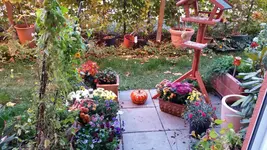 20151102_145037.webp