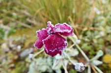 DSCF4399 (2).webp