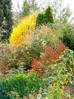 DSCN6474.webp