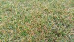 20151106_124411.jpg