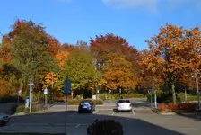 1027_3_p.webp