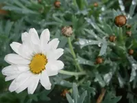 PB060848.webp