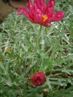 PB060849.webp