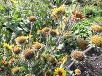 Bilda083.webp