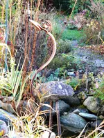 DSCN6531.webp