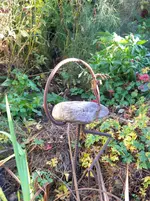 DSCN6535.webp