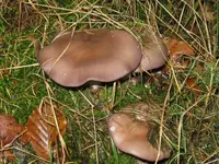 012_1024x768.webp