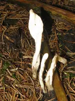 018_576x768.webp