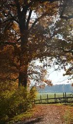 DSC_6032.webp
