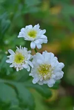 DSC_6108.webp