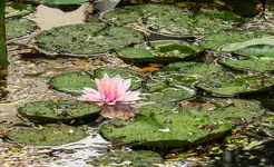 IMG_5849-2-3.webp