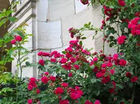 IMG_6634.webp